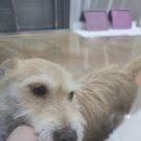 팅커벨 - 종로구 종로 266 | 팅커벨