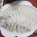 속초회센터 주원수산 가성비 좋은 청호활어회센터맛집