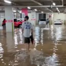 강남서초
