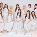 히트플라워