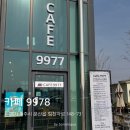 카페9977