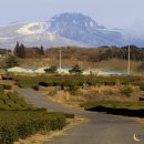 서광자연 이미지