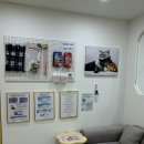 부산고양이미용&호텔 무냥무냥 대연점 | 연산동고양이미용, 동래고양이미용 봄맞이 고양이무마취미용은 무냥무냥에서 !