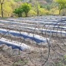 윤형농장 이미지