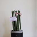 해성스파앤짐 이미지