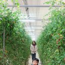 포시즌농장 이미지