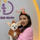 털로 덮인 친구들 이미지