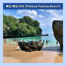 빠당빠당 이미지