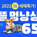 배포상회 이미지