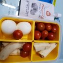 액티브 복싱클럽 이미지