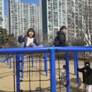 경희 효 태권도장 이미지