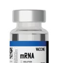 mRNA 백신으로 이제 암도 치료해요! 우리 몸속 정보 메신저 mRNA 이미지