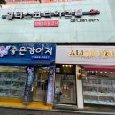 부산강아지분양앨리펫