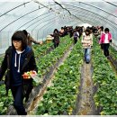 서일여행 이미지