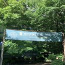 남한산성 청와정 펜션 | 남한산성 한옥카페 청와정에서 수박주스 블루베리요거트마신 후기