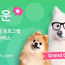 펫글뷰티 이미지