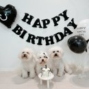 까까몽몽 이미지