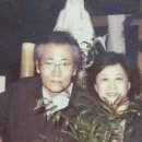 사르넬리 이미지