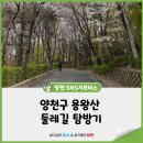 용왕정길(용왕산근린공원) | 양천구 용왕산 둘레길 탐방기