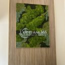 365분식 | 호치민에서 만나는 Optimal365과 한국 분식 하누리
