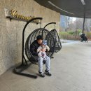 11650-17-39-5 | 돌발진 열 4일 지속 후 발진, 17개월 아기 실제후기(39도→저체온)