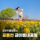 파주세무서 | 파주 공릉천 튤립축제 4월 19일 개화상태 주차 정보