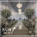 W 03-2. 대전 두 번째 투어 웨딩홀 / 라도무스 루미니스홀 후기