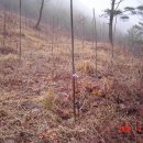 덩쿨농장 이미지