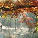 살아생전 이미지