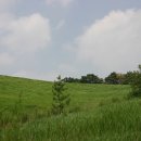 은서목장 이미지