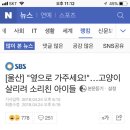 [울산] "옆으로 가주세요!"…고양이 살리려 소리친 아이들 이미지