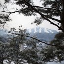 캐빈타운(자연의 향기) 이미지