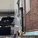 리안헤어 월곡역점 | 인생 첫 프로필 사진 촬영, 수상한 사진관 홍대2호점, 내돈내산 후기들, 가죽아저씨, 메루루 렌즈집게)