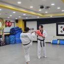 용인대정진태권도장 | [마곡/신방화태권도 국가대표] 2025년도 생활스포츠지도사 2급 자격증 취득 후기 🥋