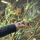 아프리카안경 롯데아울렛남악점 | 우리에겐 불사의토템이 없으니까 나대지말고 살자