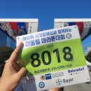 장애인어울림공원 | 마라톤 대회:: 첫 마라톤 도전기 (시각장애인과 함께하는 어울림 마라톤 대회 기간, 신청, 장소, 요금...