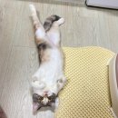 건강한우리 이미지