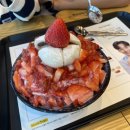 설빙 경기평택포승점 | [ 평택ㅣ포승 ] 설빙의 계절이 돌아왔다 ! ‘설빙 경기평택포승점’ 생딸기설빙 ( 아기의자/내돈내산 )