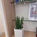 수영하임치과의원 이미지