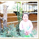 정다운목장 이미지