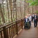 우면산 (서초약수터) 이미지