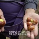 이장우농장 이미지