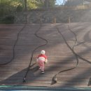 사상근린공원 | 자연 놀이터 부산 사상 근린공원 텐트 설치 명당 피크닉 장소