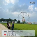 충남 당일치기 여행지 추천/ 당진 삽교천/ 삽교호 놀이동산&amp;바다공원&amp;주차