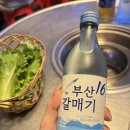 꿀꿀뒷고기 | 광안리 갔는데 여길 외않가?🤔맛집탐방대가 다녀온 부산찐맛집 🐷꿀꿀뒷고기🐷 내돈내산 솔직후기⭐️