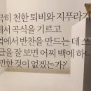 호텔바츠 | 평택시 안산시 수원시