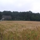 원산리약수터 이미지