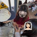 애드씨커뮤니케이션(주) | 안 하면 그만인데 그만하긴 싫고[D+17~19]