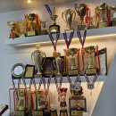 태낭태사 태권도 이미지