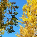 서울숲12 이미지